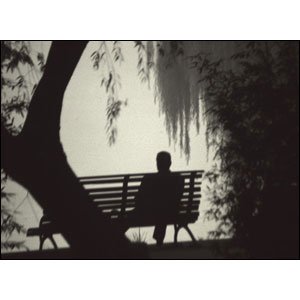 sampca-tuga-usamljenost-0.jpg, 14 KB